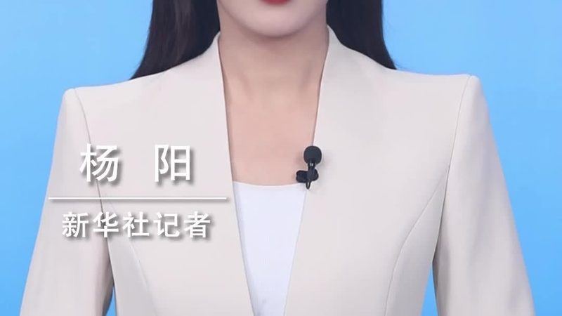企业数字化咨询公司价格